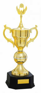 Troféu Tradicional Ref. 300122 - 93 cm