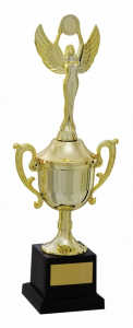 Troféu Tradicional Ref. 500152 - 32 cm