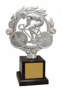 Troféu Tradicional Ref. 600042 - 20 cm