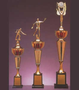 Linha Alfa - Troféu 484